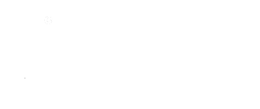 Veloso Group